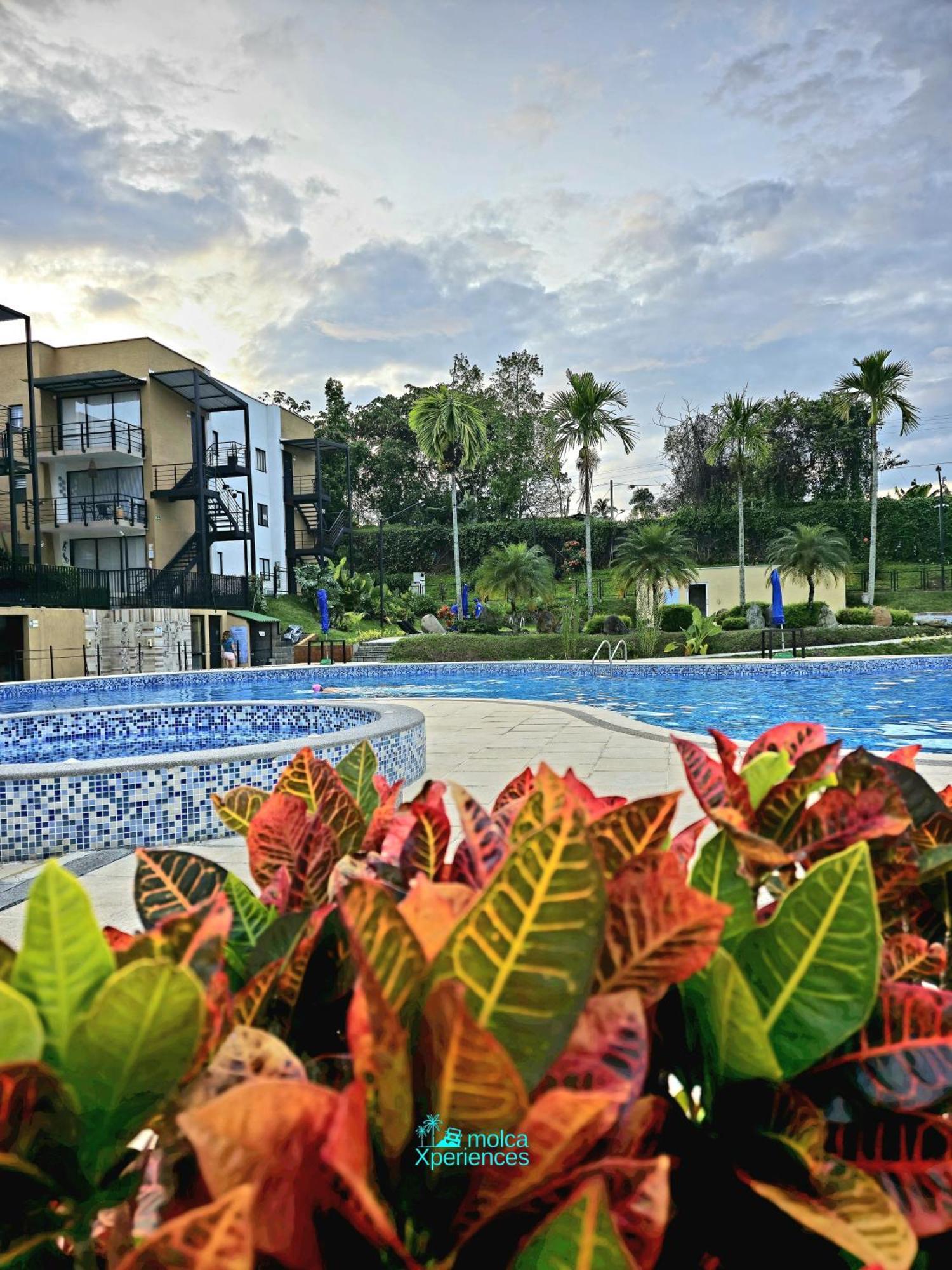 Apartamento Privado Vacacional A 5M Del Aeropuerto, 20 Minutos Del Parque Del Cafe Y Centro De Armenia Con 4 Piscinas, 3 Jacuzzi, Sauna By Molca Xperiences 2H Exteriér fotografie