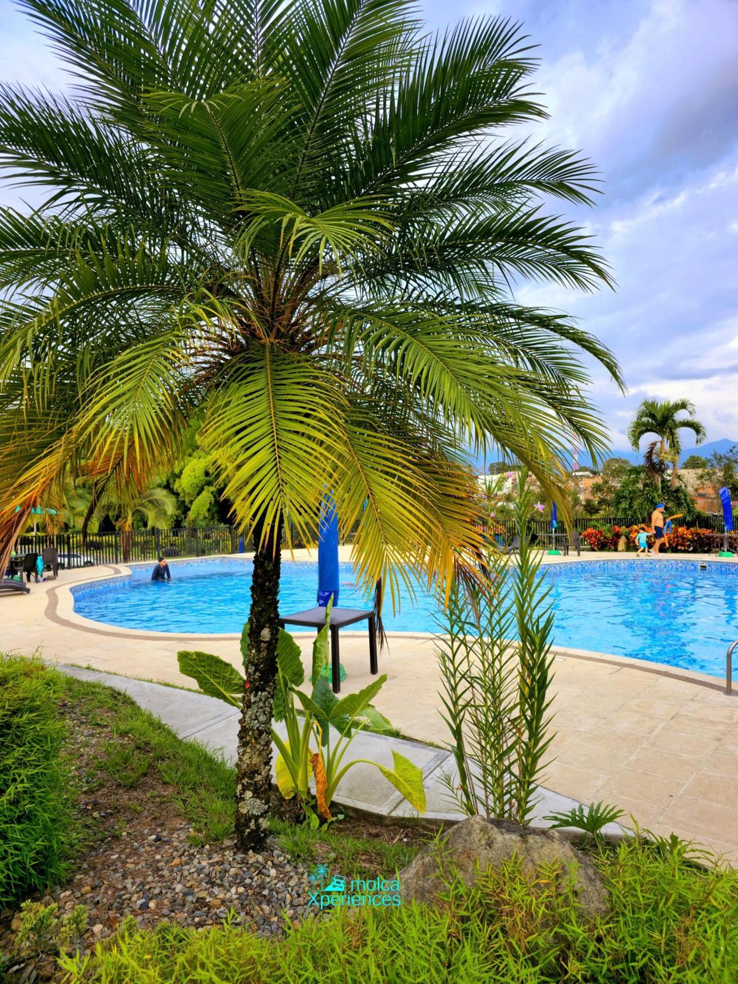 Apartamento Privado Vacacional A 5M Del Aeropuerto, 20 Minutos Del Parque Del Cafe Y Centro De Armenia Con 4 Piscinas, 3 Jacuzzi, Sauna By Molca Xperiences 2H Exteriér fotografie